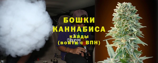 ГАЛЛЮЦИНОГЕННЫЕ ГРИБЫ Арсеньев