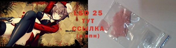 ГАЛЛЮЦИНОГЕННЫЕ ГРИБЫ Арсеньев