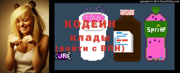 ГАЛЛЮЦИНОГЕННЫЕ ГРИБЫ Арсеньев