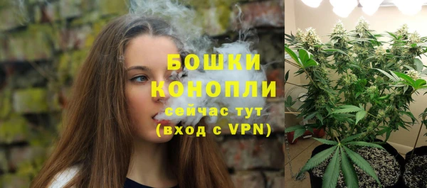 ГАЛЛЮЦИНОГЕННЫЕ ГРИБЫ Арсеньев