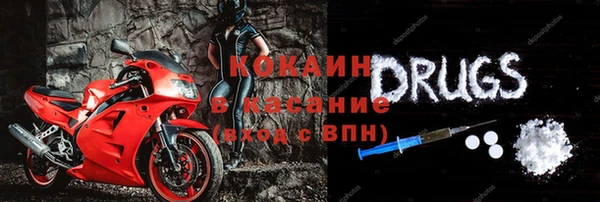 твердый Аркадак