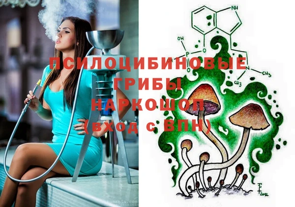 твердый Аркадак