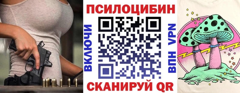 купить закладку  Дыгулыбгей  Галлюциногенные грибы Psilocybe 
